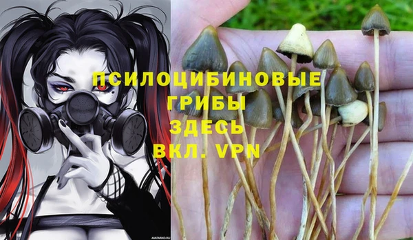 трава Аркадак